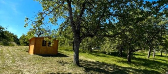 Земельный участок в Tubingen, Германия № 291895 4