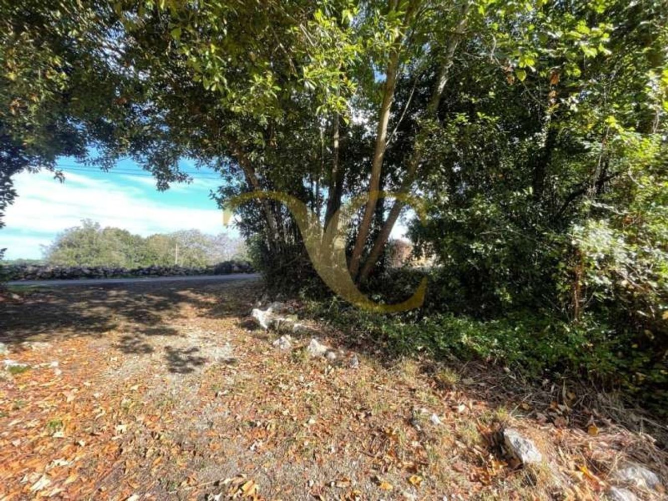  Land in Ribadesella, Spain No. 210631