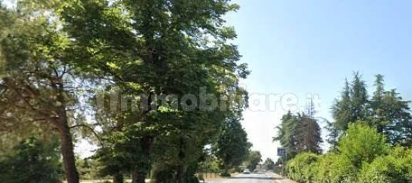 1-salle Entrepôt à Forlimpopoli, Italy No. 292599 5