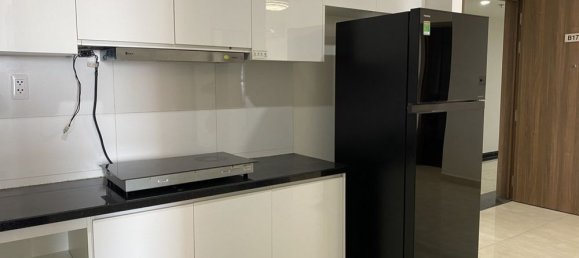 2 bedrooms Apartment in Thu Duc, Vietnam No. 16614 5