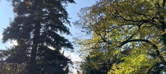  Land in Baden, Austria No. 192635 3