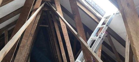 4-Zimmer Bauernhof in Burgenlandkreis, Germany, Nr. 245673 19