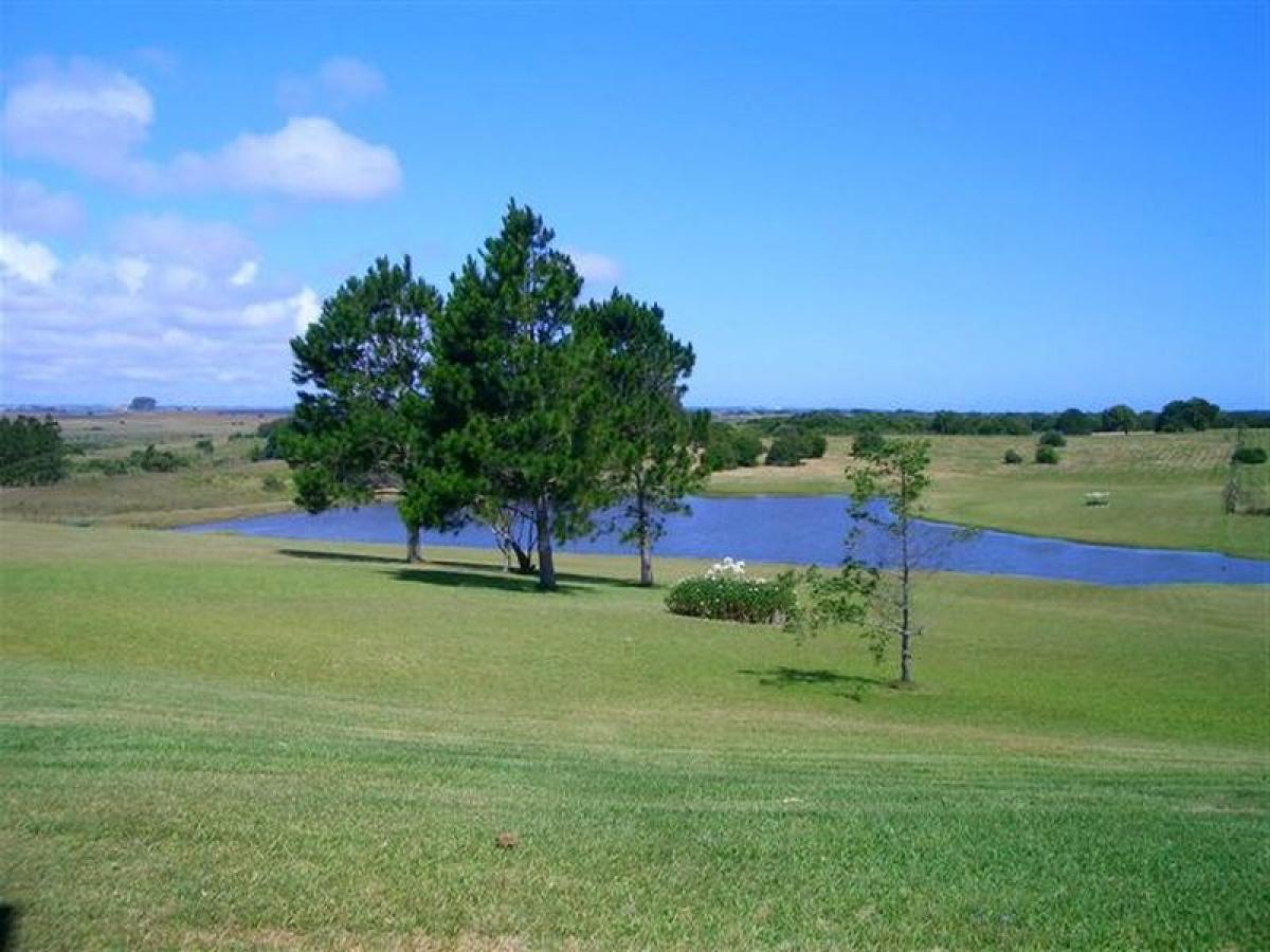  Farm in Maldonado, Uruguay No. 15203