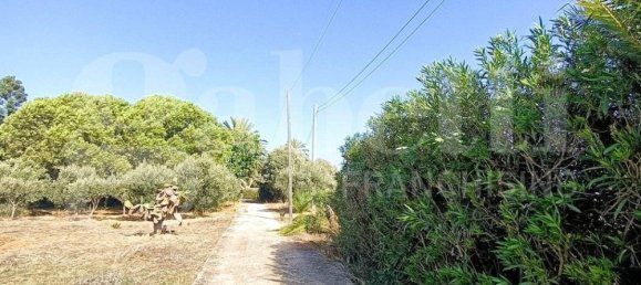 Вилла с 3 спальнями в Пачеко, Италия № 83374 3