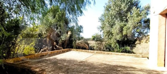 Вилла с 3 спальнями в Пачеко, Италия № 83374 4