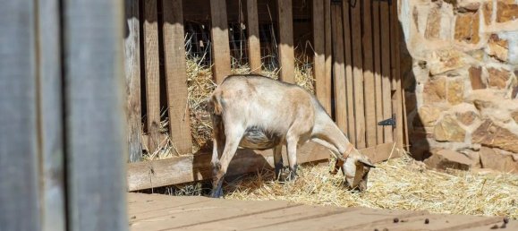 3 Schlafzimmer Haus in Monchique, Portugal, Nr. 283128 7