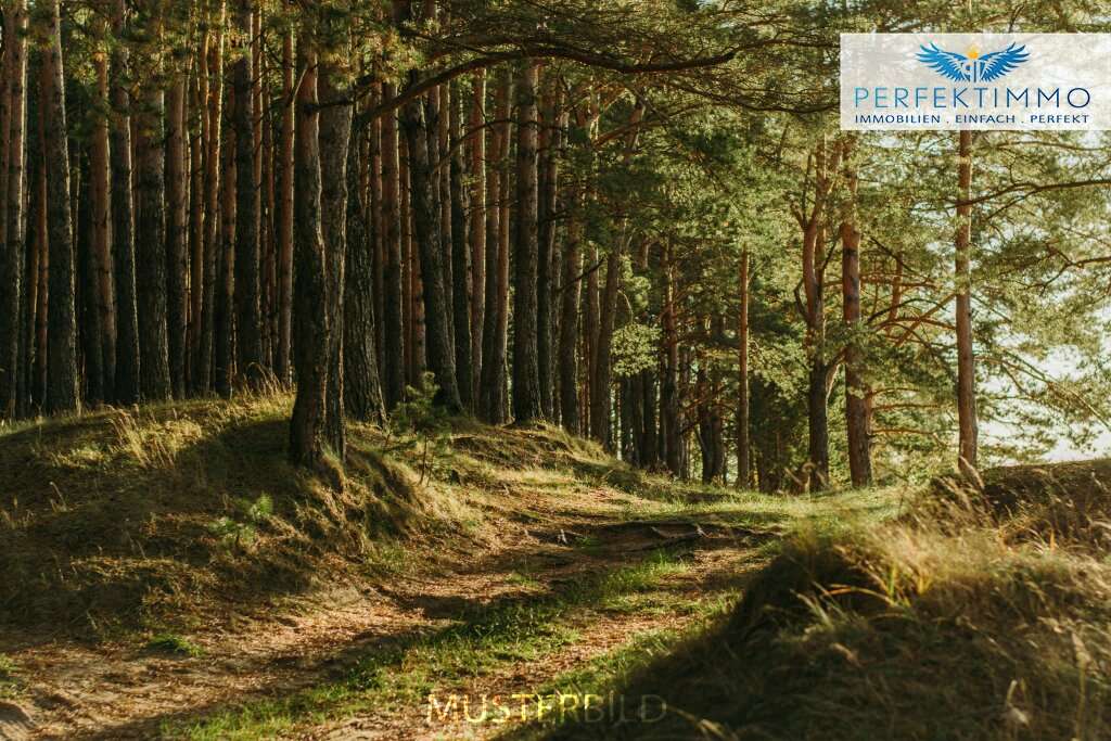  Land in Arzl im Pitztal, Austria No. 30487