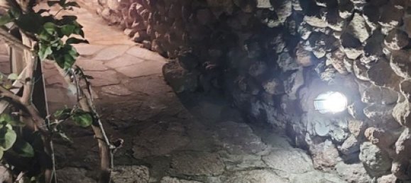 1 chambre Appartement à Capraia Isola, Italy No. 317967 25