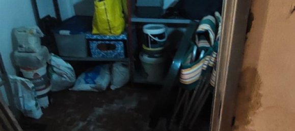 1 chambre Appartement à Capraia Isola, Italy No. 317967 29