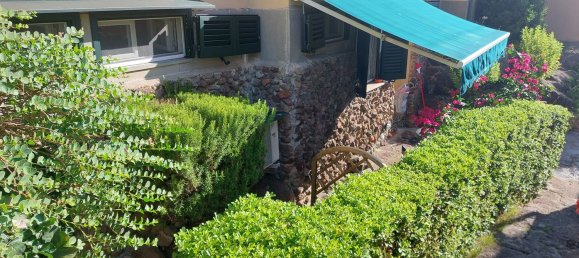 1 chambre Appartement à Capraia Isola, Italy No. 317967 7