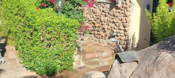 1 chambre Appartement à Capraia Isola, Italy No. 317967 4