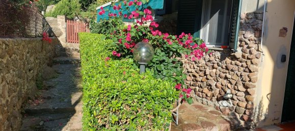 1 chambre Appartement à Capraia Isola, Italy No. 317967 2