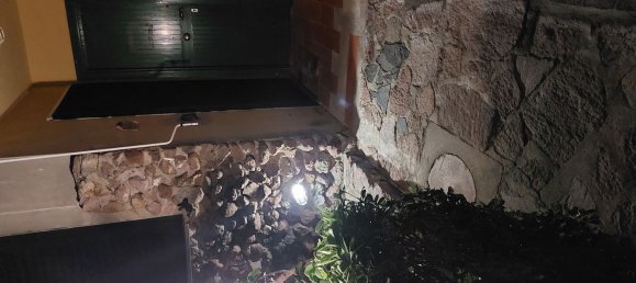 1 chambre Appartement à Capraia Isola, Italy No. 317967 27