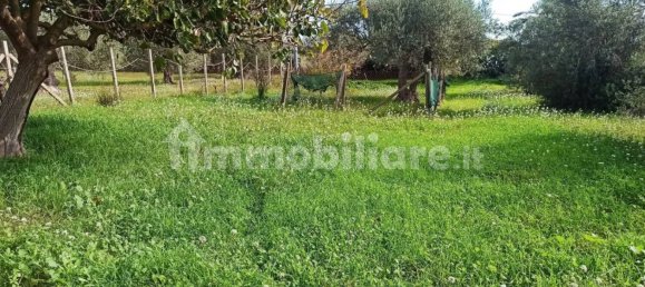 5 bedrooms Villa in Pachino, Italy No. 60982 15