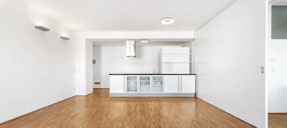 2 rooms Penthouse in Vienna, Austria No. 250428 2