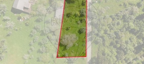 5 bedrooms House in Penela, Portugal No. 36107 16