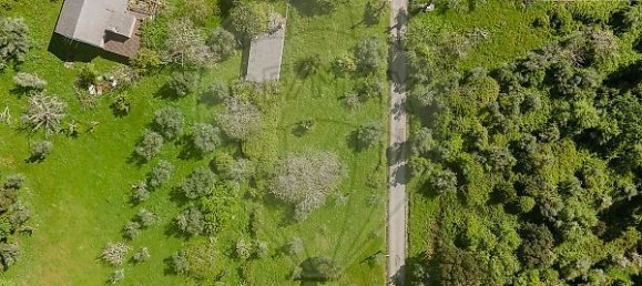 5 bedrooms House in Penela, Portugal No. 36107 15