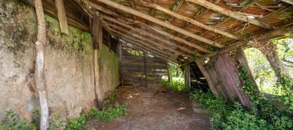 5 bedrooms House in Penela, Portugal No. 36107 34