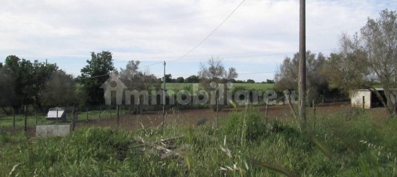 260000m² Land in Viterbo, Italy No. 71251 17