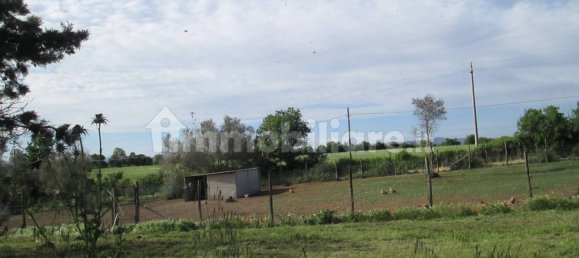 260000m² Land in Viterbo, Italy No. 71251 13