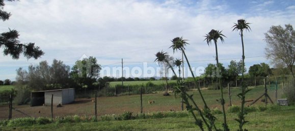260000m² Land in Viterbo, Italy No. 71251 12