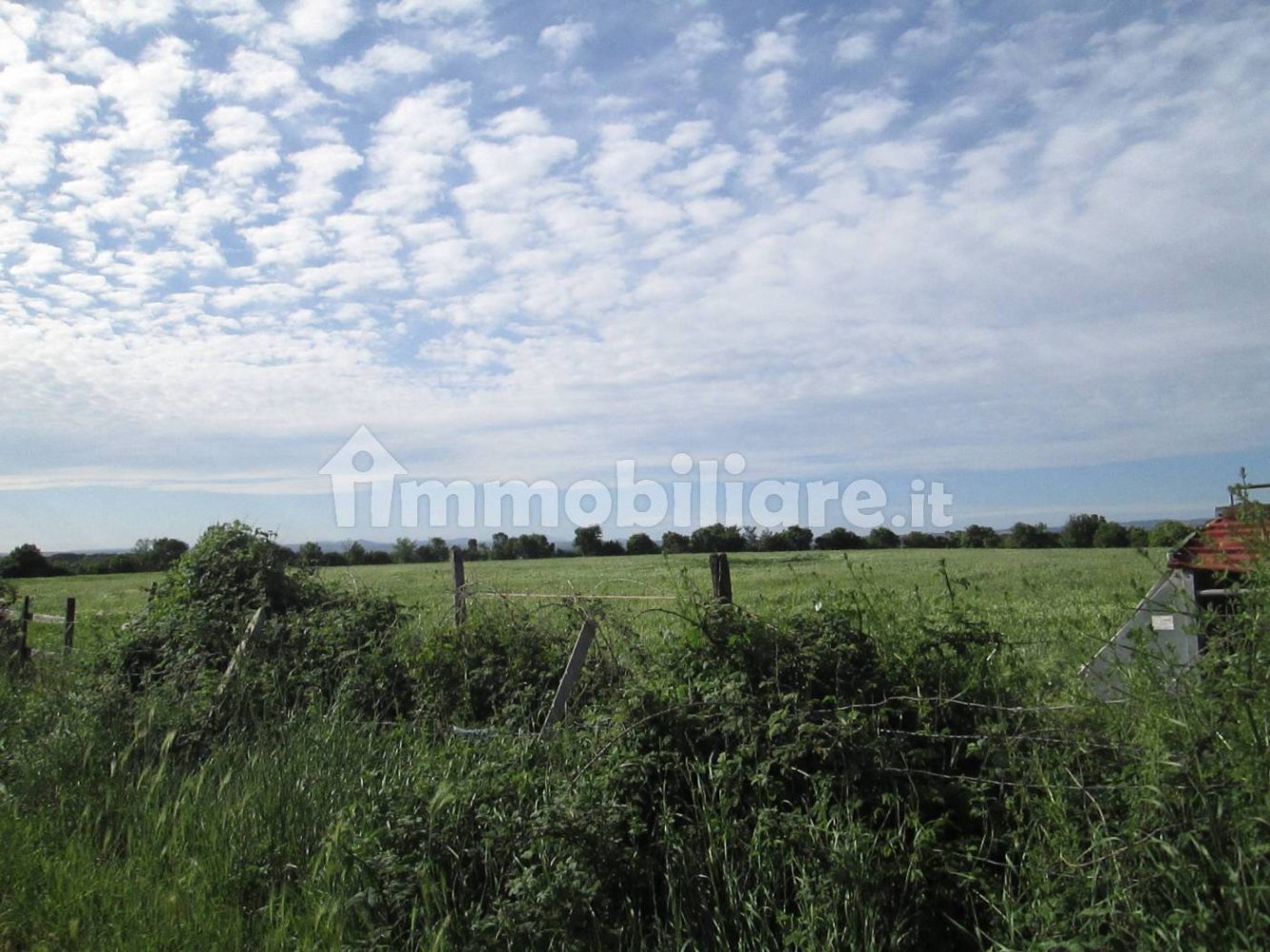 260000m² Land in Viterbo, Italy No. 71251