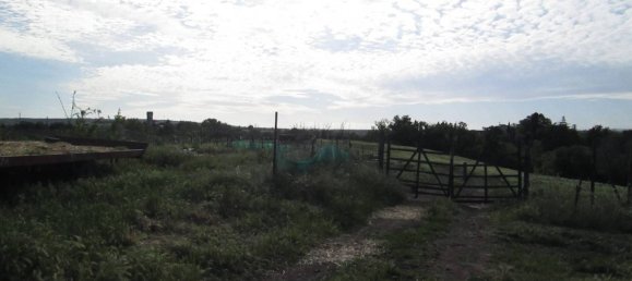 260000m² Land in Viterbo, Italy No. 71251 15