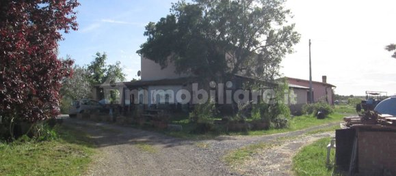 260000m² Land in Viterbo, Italy No. 71251 19