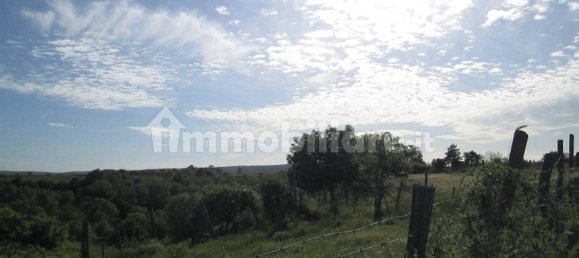 260000m² Land in Viterbo, Italy No. 71251 14