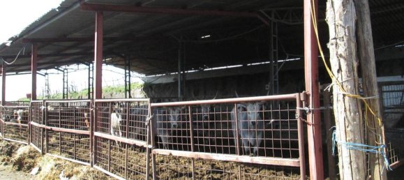 260000m² Land in Viterbo, Italy No. 71251 16