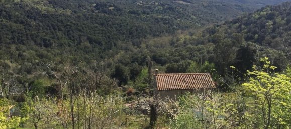 6 bedrooms House in Sassetta, Italy No. 345678 15