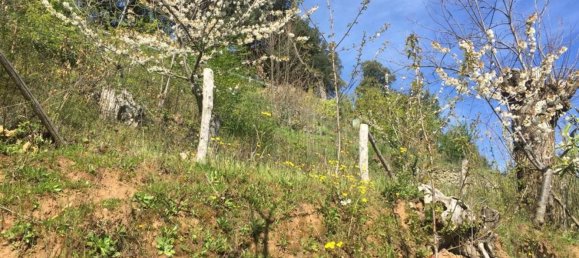 6 bedrooms House in Sassetta, Italy No. 345678 19