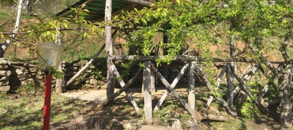 6 bedrooms House in Sassetta, Italy No. 345678 17