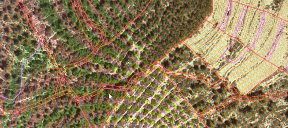 20000m² Land in Tarragona, Spain No. 189992 4