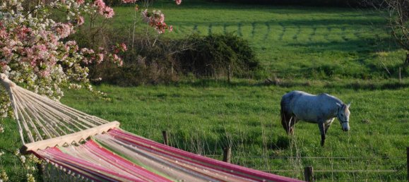 Casa de 9 dormitorios en Bresdon, France No. 37942 3