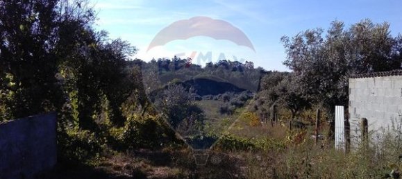 Grundstück in Viseu, Portugal 13513m², Nr. 42929 3