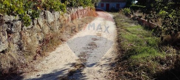 Grundstück in Viseu, Portugal 13513m², Nr. 42929 2