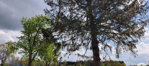 Commercial property in Utzenaich, Austria No. 116186 44