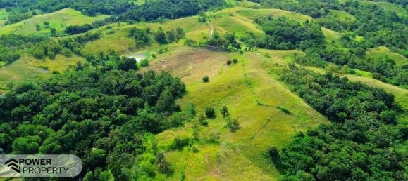 Terrain à East Nusa Tenggara, Indonesia 22008m² No. 4516 7