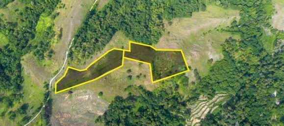 Terrain à East Nusa Tenggara, Indonesia 22008m² No. 4516 10