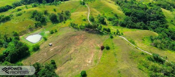 Terrain à East Nusa Tenggara, Indonesia 22008m² No. 4516 5