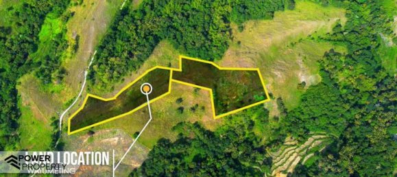 Terrain à East Nusa Tenggara, Indonesia 22008m² No. 4516 2