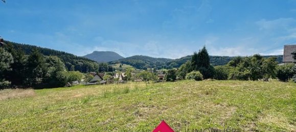 3 bedrooms House in Ranrupt, France No. 283833 8