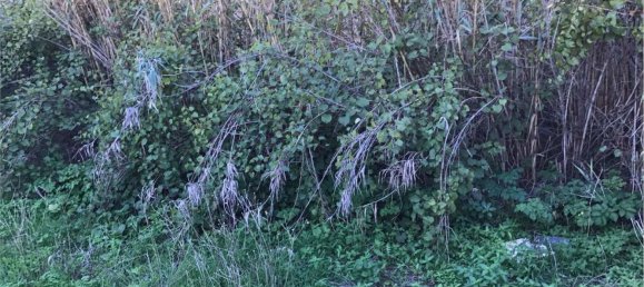 2غرفة منزل في Marsala, Italy رقم 87782 9