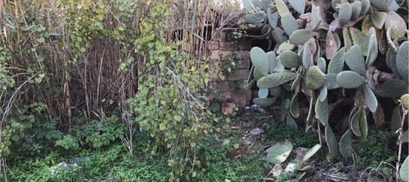 2غرفة منزل في Marsala, Italy رقم 87782 8