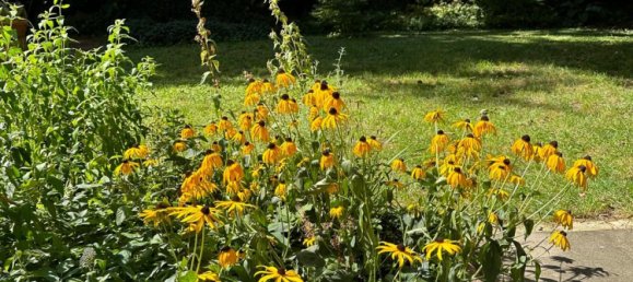 1 Schlafzimmer Wohnung in Braunschweig, Germany, Nr. 296339 10