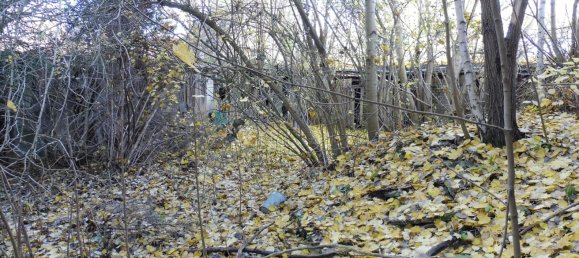 5 Schlafzimmer Gebäude in Wittenberg, Germany, Nr. 118165 8