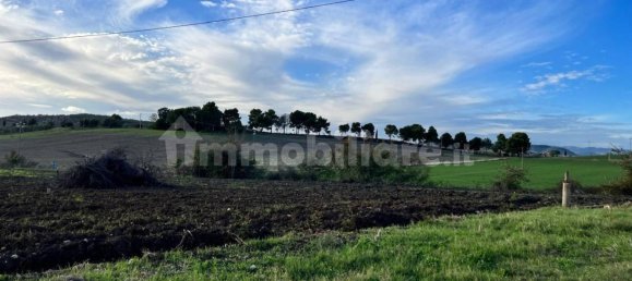 2 Schlafzimmer Haus in Manciano, Italy, Nr. 301076 7