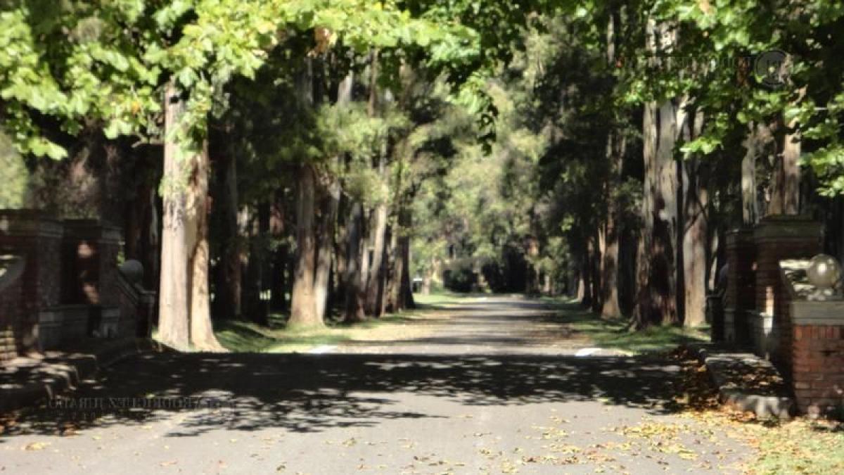 Земельный участок в Хенераль Родригес, Аргентина № 50727