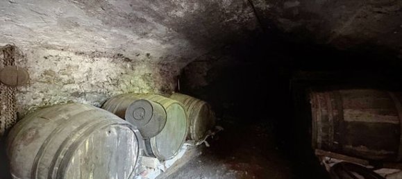 2 bedrooms Townhouse in Ain, France No. 310812 14